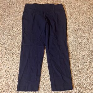 Rafaella Comfort Dress Pants Pull‎ On Straight Leg Career Size 16